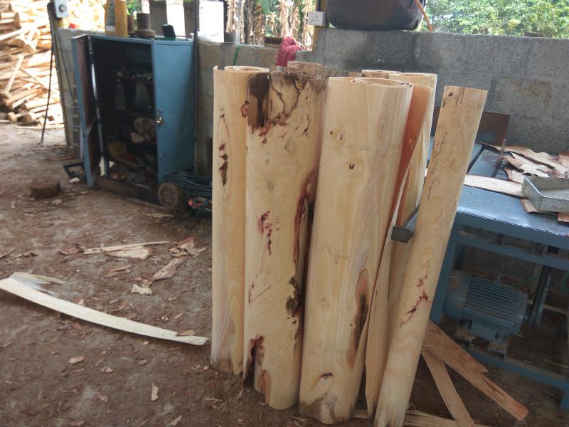 Featured image of post Factory Visit - Episode of a visit to a Wood Cutting Factory