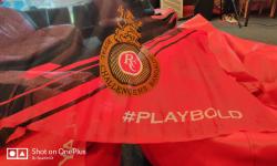 Featured image of post IPL 2020 auction experience with RCB